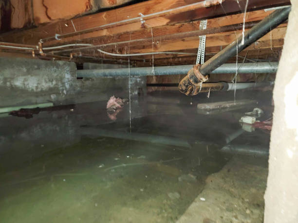Best Flooded house restoration  in Pato, WA