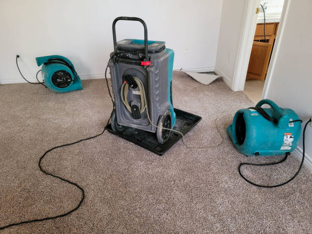 Best Local water damage restoration  in Pato, WA
