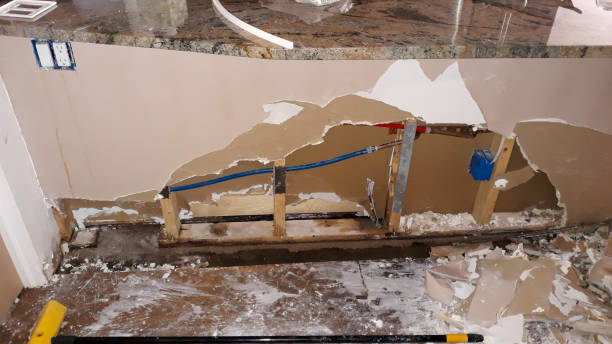 Best Water damage restoration near me  in Pato, WA