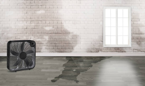 Water damage restoration experts in Wapato, WA