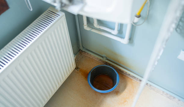 Best Flood restoration services  in Pato, WA