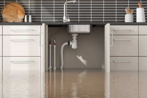 Best Water damage restoration near me  in Pato, WA