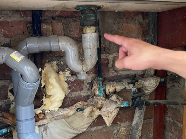 Best Carpet water damage restoration  in Pato, WA